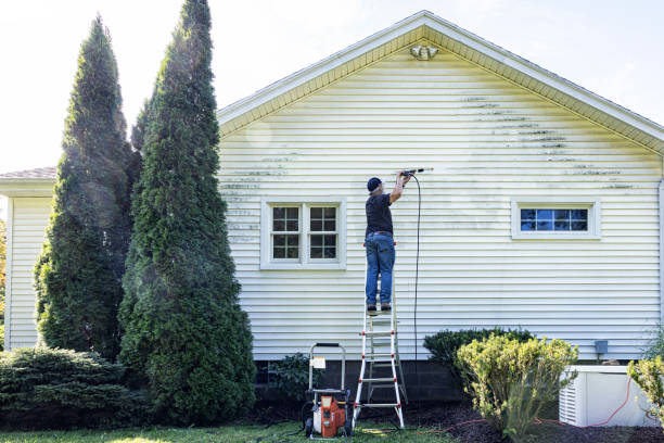 Best Sidewalk and Walkway Cleaning  in Gulf Park Estates, MS